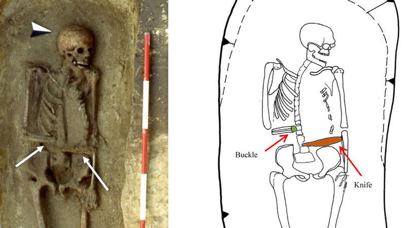 The skeleton, with the knife and buckle displayed.